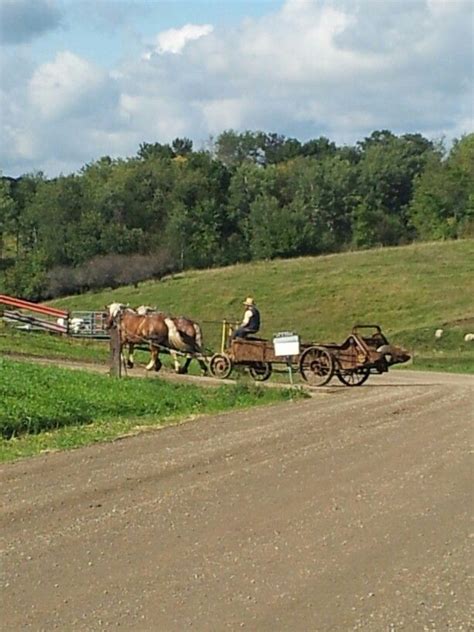 Amish auction cashton wi. Things To Know About Amish auction cashton wi. 